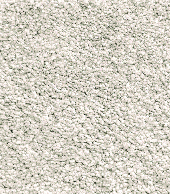 bulgari carpet wall to wall teksol